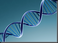 DNA strand