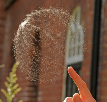 Bubble pop